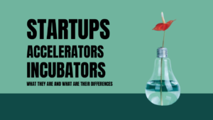 Read more about the article Should You Participate in Startup Accelerators or Incubators?