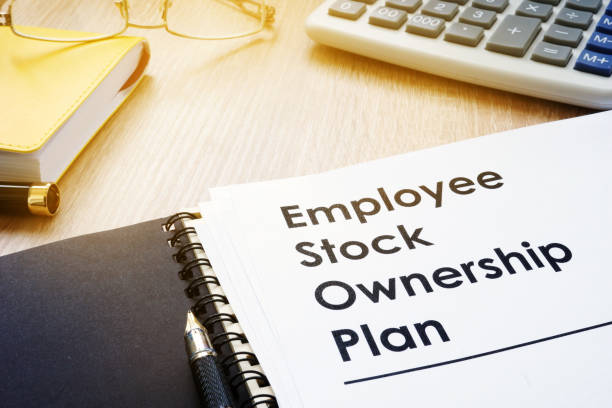 Read more about the article Setting Up an Employee Stock Option Plan (ESOP): A Key Tool for Startup Growth and Fundraising